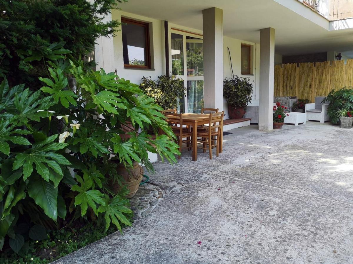 Parte Di Casa Con Giardino E Piscina Villa Pietrasanta Exterior foto