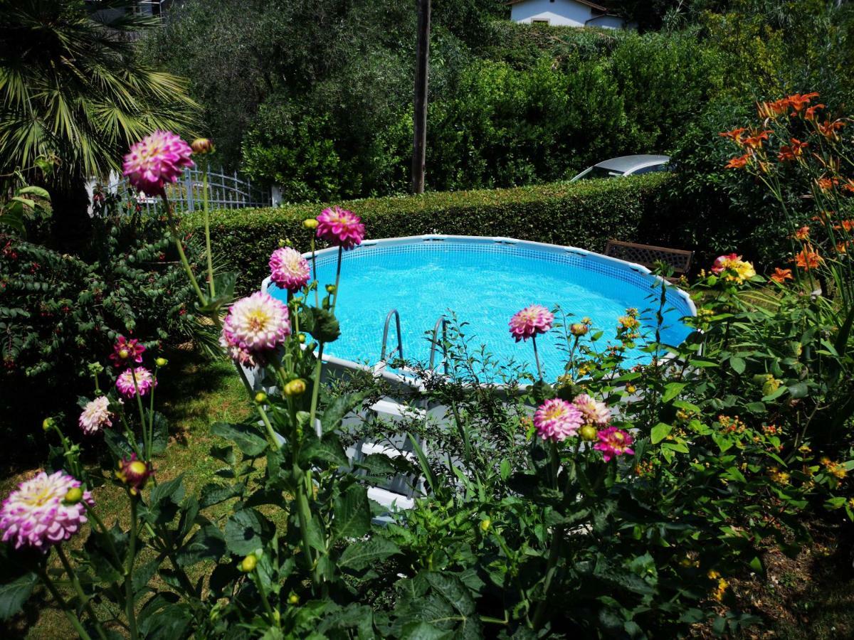 Parte Di Casa Con Giardino E Piscina Villa Pietrasanta Exterior foto